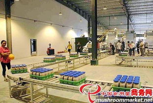 河北光明食品集團(tuán)臨西縣食用菌工廠化建設(shè)項目圓滿竣工，助力現(xiàn)代農(nóng)業(yè)發(fā)展